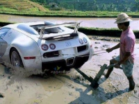 Funny Automobile Picture