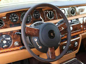 Malabar Teak