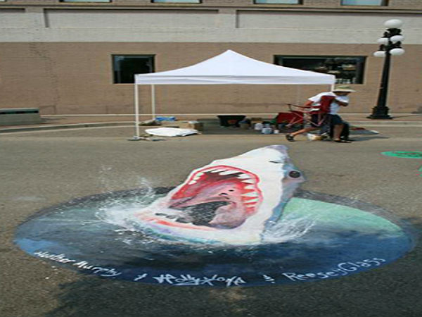 21-1408601652-funny-3d-road-images-07.jp