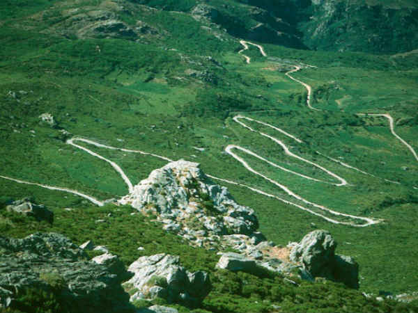 ரிஸ்க்