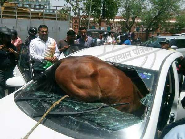 வெயிலின் தாக்கத்தை சமாளிக்க ஏசி காற்று வாங்கி குதிரை..!
