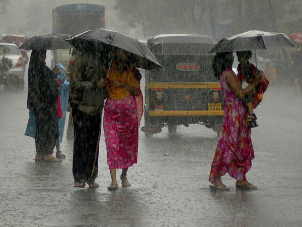 ரூ. 8 கோடி ரோல்ஸ் ராய்ஸ் கார் மீது முறிந்து விழுந்த மரம்..!!