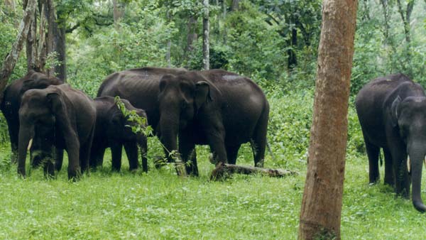 இந்த கோடை விடுமுறைக்கு எங்கு டூர் போகலாம்? இங்கிருக்கிறது உங்களுக்கான டிரிப் பிளான்