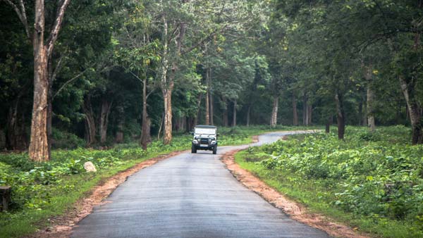இந்த கோடை விடுமுறைக்கு எங்கு டூர் போகலாம்? இங்கிருக்கிறது உங்களுக்கான டிரிப் பிளான்