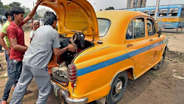 இந்திய சாலைகளின் கிங்... ஆச்சரியத்தில் மூழ்கடிக்கும் அம்பாஸிடர் ரகசியங்கள்...