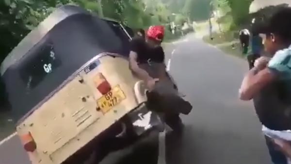 அடேங்கப்பா... ஆட்டோ ஓட ஓட சக்கரத்தை மாற்றிய இளைஞர்கள்... சமூக வலை தளங்களில் வைரலாகும் வீடியோ