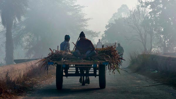 மாட்டு வண்டிக்கு கடும் அபராதம்... அதிர்ந்து போன விவசாயி... போலீஸ் சொன்ன காரணம் அதை விட அதிர்ச்சி