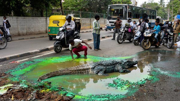 மோசமான சாலைகளிலும் ஓட்டி செல்ல ஏற்ற செடான் வாகனங்கள் இதோ...