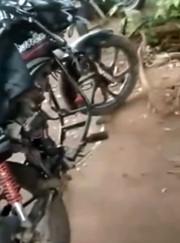 எஞ்சின் இல்லாத பைக்கை தள்ளி வந்தவரை மடக்கிப்பிடித்து அபராதம் விதித்த போலீசார்!
