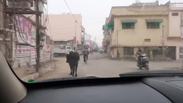காதலனை காண இந்தியா வந்த அமெரிக்க இளம்பெண்.. காரை ஓட்ட முடியாமல் திக்குமுக்காடிய அவலம்.. என்னமா இப்படி பன்றீங்களேமா..!