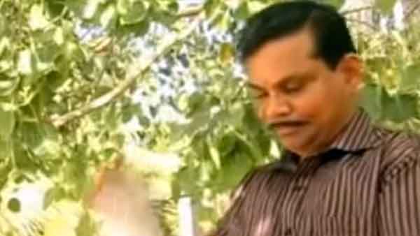 மார்ச் 30 முதல் மூலிகை பெட்ரோல்! ராமர் பிள்ளை அதிரடி... விலை, மைலேஜை கேட்டு சொக்கி போன வாகன ஓட்டிகள்