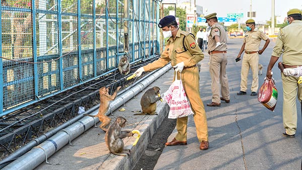 போலீஸ் மேல மரியாதை கூடுது... நாட்டையே திரும்பி பார்க்க வைத்த சாதாரண கான்ஸ்டபிள்... வேற லெவல் சம்பவம்