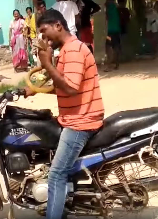 'படை வேணும்னா அஞ்சும், நான் மாட்டேன்' - போதை ஆசாமியிடம் சிக்கிய பாம்பு... என்ன நடந்தது தெரியுமா..?
