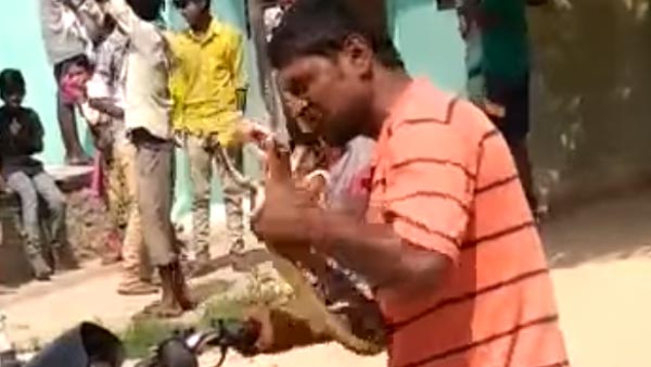 'படை வேணும்னா அஞ்சும், நான் மாட்டேன்' - போதை ஆசாமியிடம் சிக்கிய பாம்பு... என்ன நடந்தது தெரியுமா..?