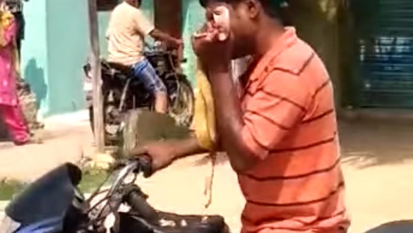 'படை வேணும்னா அஞ்சும், நான் மாட்டேன்' - போதை ஆசாமியிடம் சிக்கிய பாம்பு... என்ன நடந்தது தெரியுமா..?