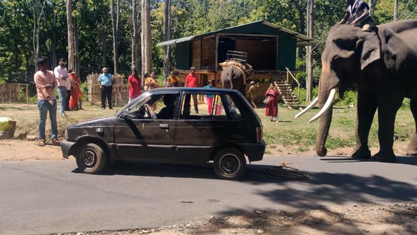 வெளியேற திணறிய மாருதி 800... துதிக்கை கொடுத்து உதவிய பிரமாண்ட உருவமுடைய நண்பன்... வீடியோ!