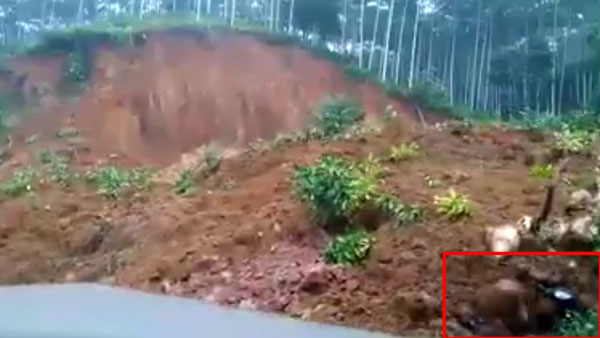 நம்பவே முடியல... சிசிடிவி கேமராவில் சிக்கிய அதிசய சம்பவம்... என்னனு தெரிஞ்சா அசந்து போய்ருவீங்க...
