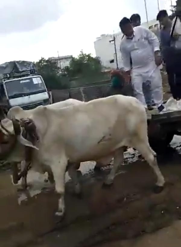 பென்ஸ் காரை ரோட்டில் நிறுத்தி விட்டு மாட்டு வண்டியில் ஆபீஸ் போன தொழிலதிபர்! எல்லாரும் ஆடிப்போய்டாங்க