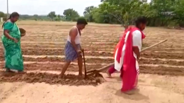 இந்த டிராக்டர் இவ்ளோ சக்தி வாய்ந்ததா? இதைதான் சோனு சூட் விவசாயிக்கு பரிசாக வழங்கினாரா! நல்ல மனசுங்க உங்களுக்கு!