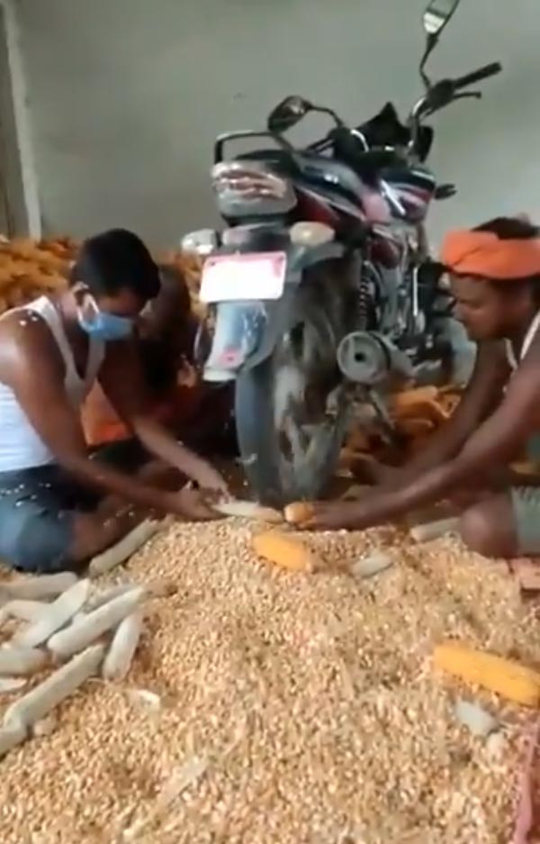 வேலை ஈஸியா முடிந்து விடும்... ஆனந்த் மஹிந்திராவை கவர்ந்த இந்திய விவசாயிகளின் கண்டுபிடிப்பு... ஆனால்?