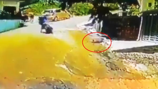 குழந்தையின் உயிரை காப்பாற்ற இளைஞர் செய்த காரியம்! வீடியோவை பார்த்து விட்டு புகழ்ந்து தள்ளும் மக்கள்