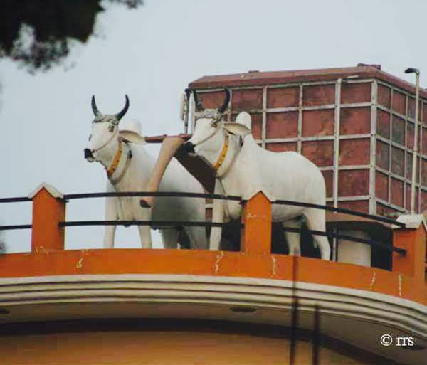 இந்த வீட்டை அண்ணாந்து பாக்காம கடக்கவே முடியாது... ஏன்னா வீட்டோட மொட்டை மாடிலதான் அதோட ஸ்பெஷலே இருக்கு...