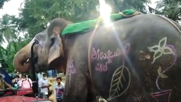 ரொம்ப தாகம்... டிராக்டரை நிறுத்தி தண்ணீர் குடித்த யானை... சமூக வலை தளங்களில் வைரலாகும் வீடியோ!