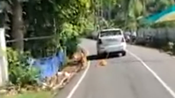 நாயை காரில் கட்டி தரதரவென இழுத்து சென்றதற்கு காரணம் இதுதானாம்... வெளிவந்த தகவலால் அதிர்ச்சியில் உறைந்த மக்கள்