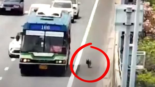 ஓட்டுபோட போறீங்களா... டோல் கட்டணம் சைலண்டா ஏத்திருக்காங்க... எவ்வளவு தெரியுமா? - 10 சென்ற வாரத்தின் டாப்- 10 ஆட்டோமொபைல் செய்திகள்