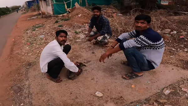 நாய் குட்டியை காப்பாற்ற போய் குடிகாரர்களிடத்தில் சிக்கிய இளம்பெண்... உதவிக்கு யாருமே வரல... கடைசியில் என்ன நடந்தது?