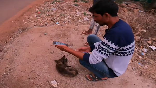 நாய் குட்டியை காப்பாற்ற போய் குடிகாரர்களிடத்தில் சிக்கிய இளம்பெண்... உதவிக்கு யாருமே வரல... கடைசியில் என்ன நடந்தது?