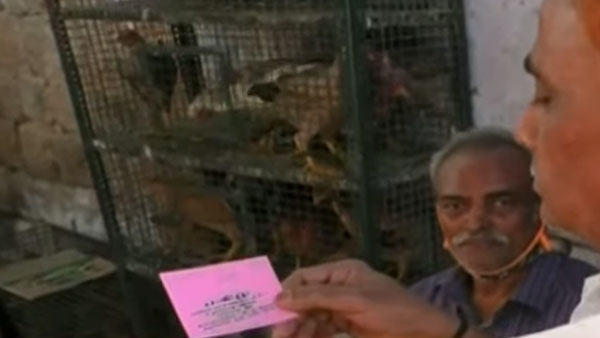 நம்ம தமிழ்நாட்டில்தான்... ஒரு கிலோ இறைச்சி வாங்கினால் ஒரு லிட்டர் பெட்ரோல் இலவசம்... எந்த ஊரில் தெரியுமா?