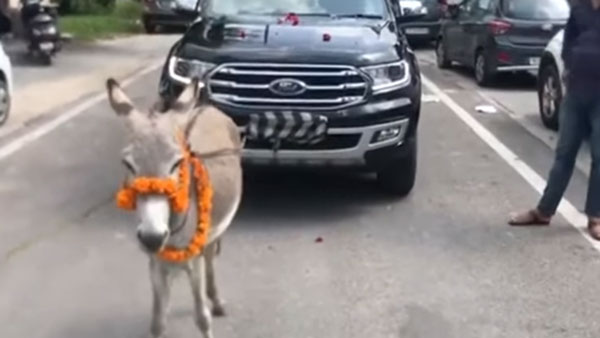 விலையுயர்ந்த Ford காரை இழுத்து சென்ற கழுதை... இணையத்தில் வைரலாகும் வீடியோ!