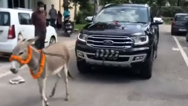 விலையுயர்ந்த Ford காரை இழுத்து சென்ற கழுதை... இணையத்தில் வைரலாகும் வீடியோ!