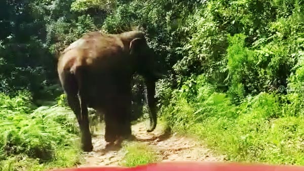 உணவு கொடுத்தது ஒரு குத்தமா? விலையுயர்ந்த காருடன் இளைஞர்களை தூக்கிய அதிகாரிகள்! நடவடிக்கைக்கான முழு காரணம்!
