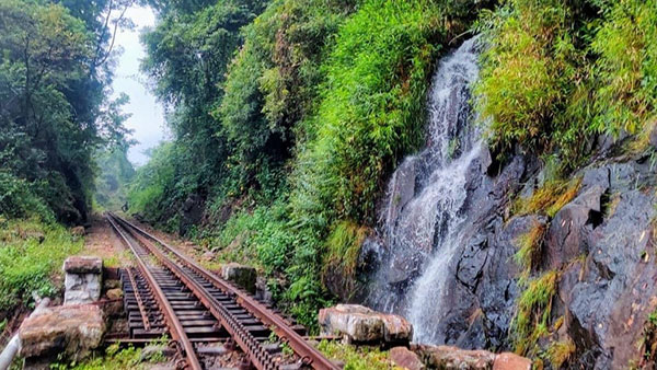 மனசை லேசாக்கும் ஊட்டி மலை ரயில் பயணம்... எவ்ளோ செலவு ஆனாலும் பரவால... வாழ்க்கைல ஒரு தடவையாச்சும் போயிரணும்!