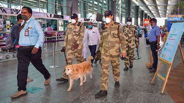 இதை கூட கண்டுபிடிக்குமா? விமான நிலைய மோப்ப நாய்களிடம் இருக்கும் அதிசய சக்தி... மனிதர்களால் முடியவே முடியாது!